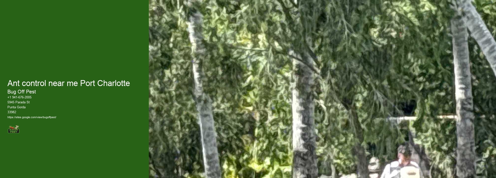 Ant control near me Port Charlotte