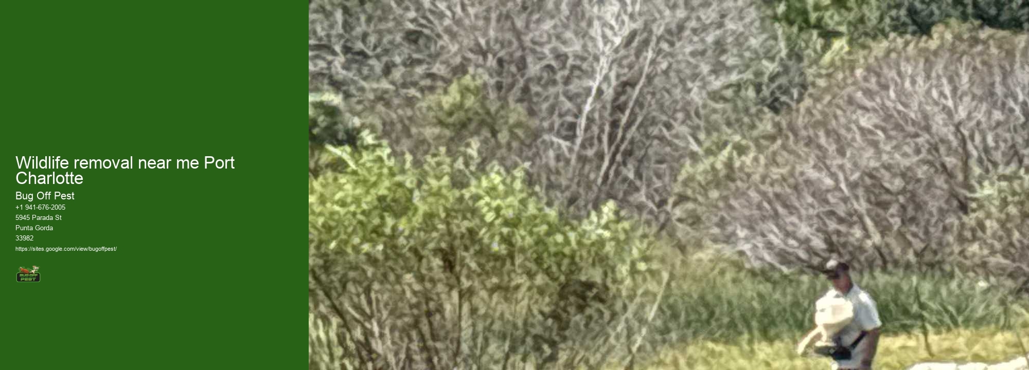 Wildlife removal near me Port Charlotte