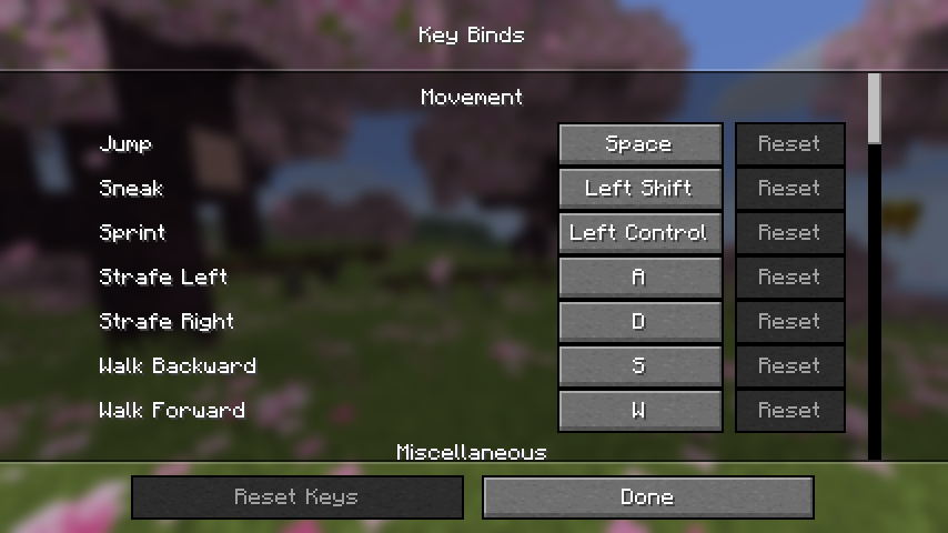 L'écran Assignation des touches de Minecraft Java Edition