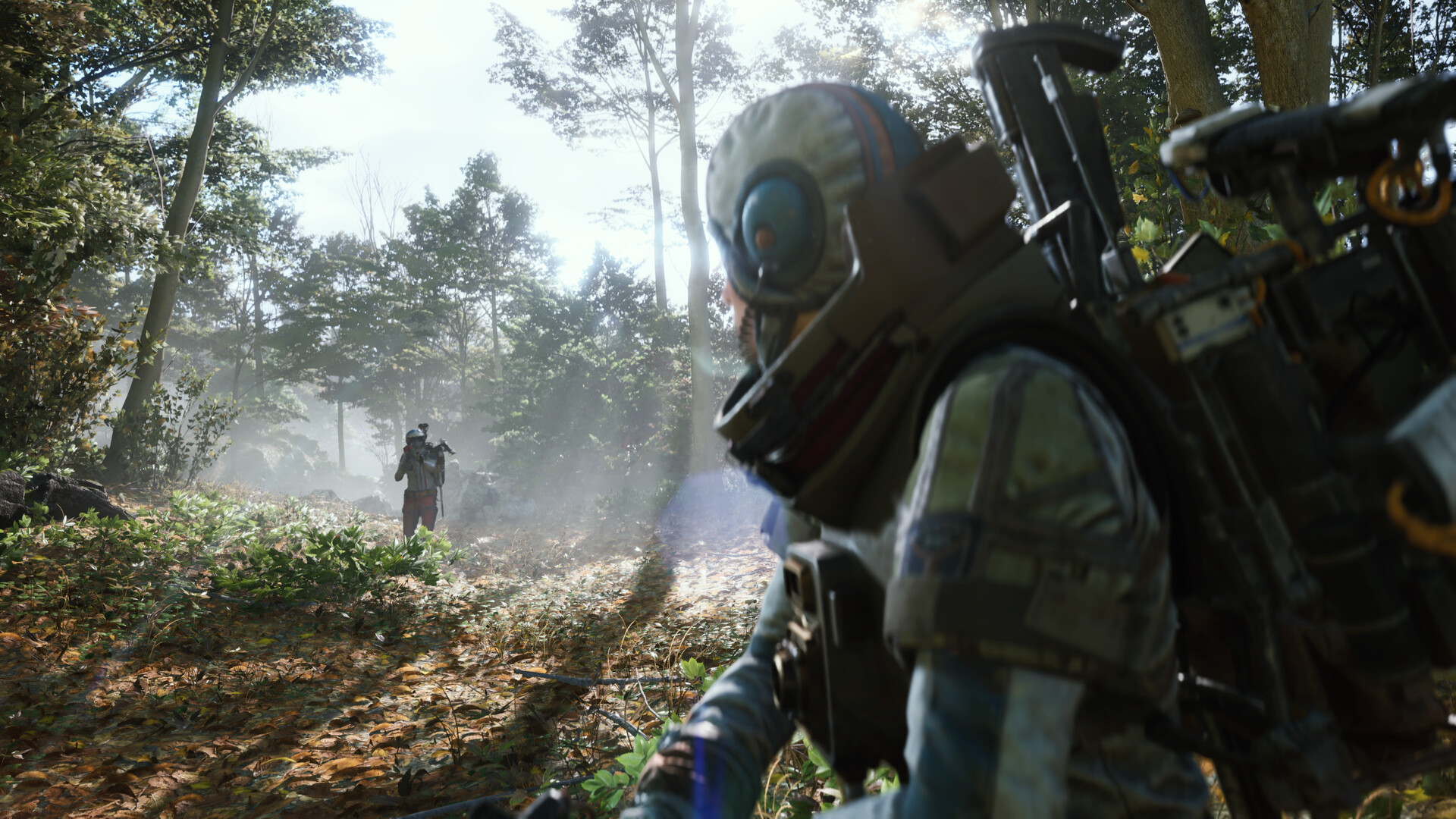 Un Raider progresse dans un sous-bois couvert de feuilles mortes tandis qu'un autre apparaît au loin dans ARC Raiders
