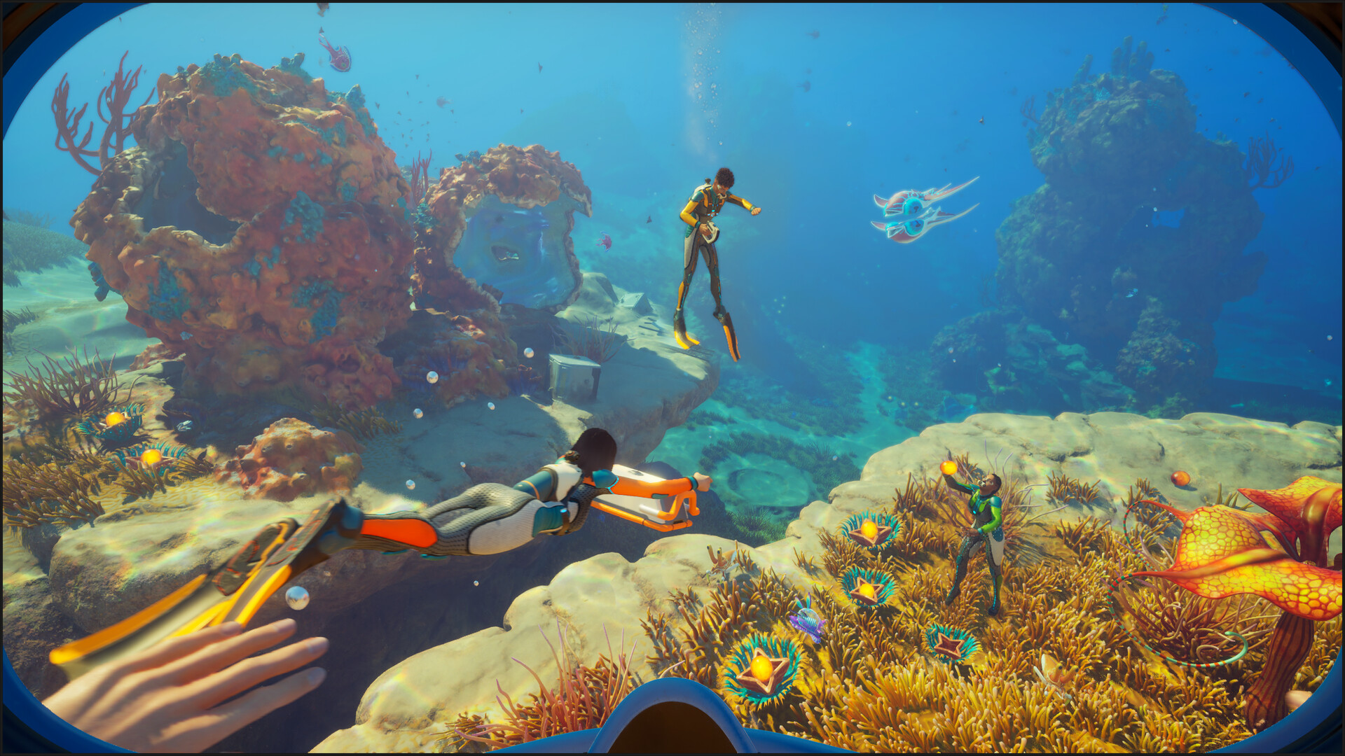 Plusieurs plongeurs de Subnautica 2 nagent au-dessus d'un récif coloré peuplé de petites créatures