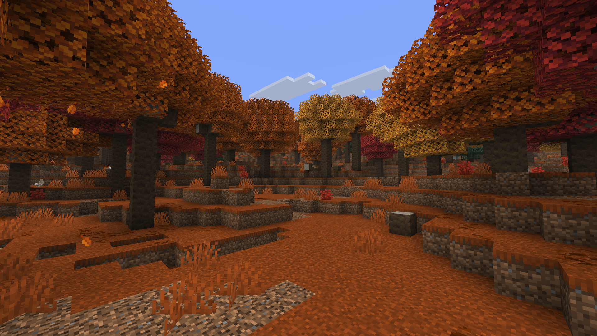 La Foresta chiazzata di Minecraft 26.3, con i suoi pioppi dalle foglie rosse, arancioni e gialle