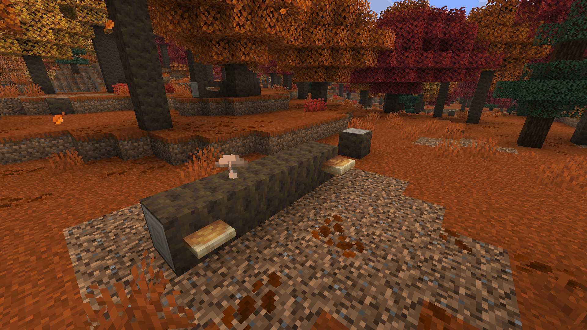 Des polypores accrochés au tronc d'un peuplier renversé dans une Forêt ambrée de Minecraft