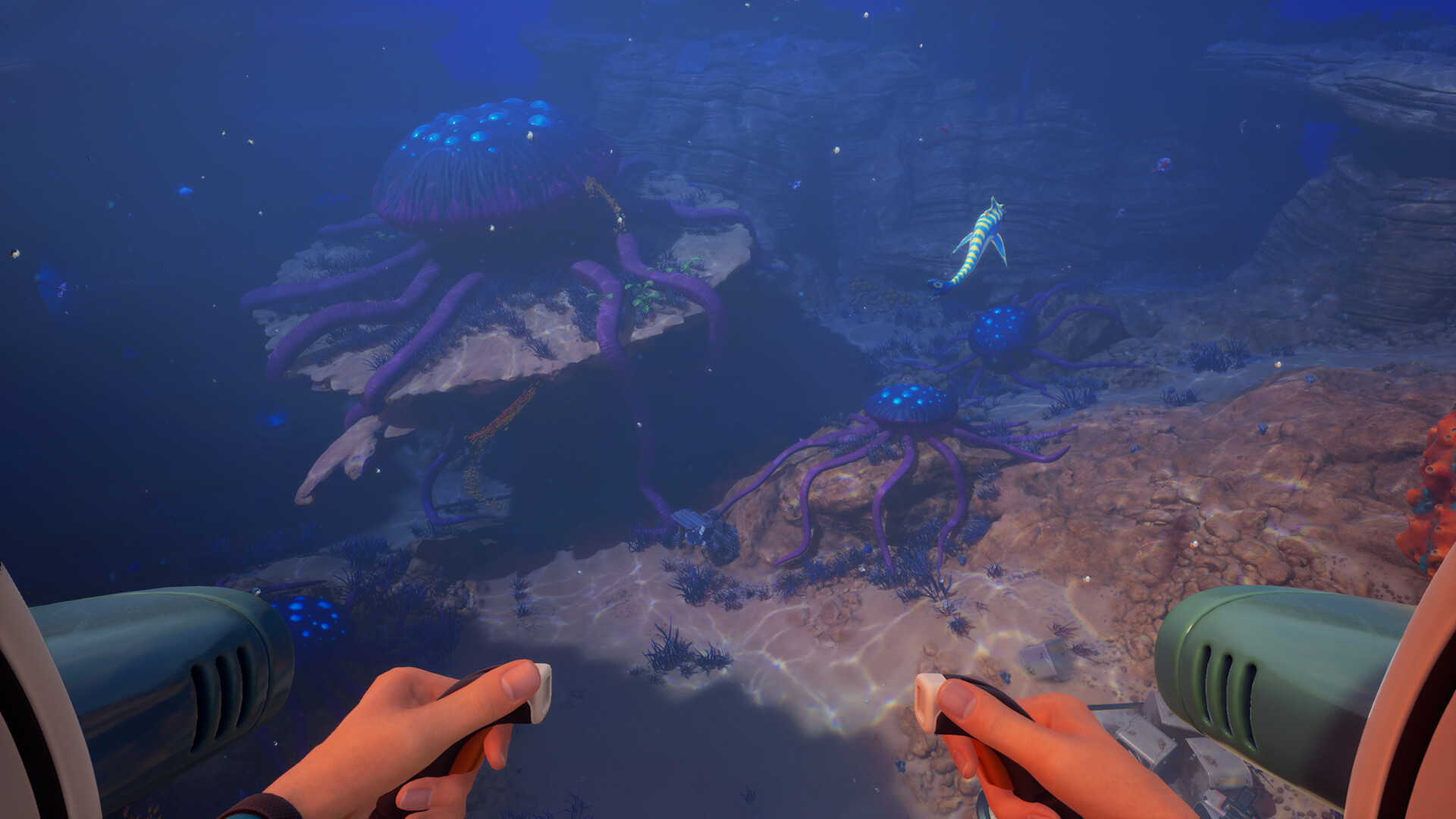 Vue subaquatique à la première personne sur des créatures à longs tentacules posées sur un fond rocheux de Subnautica 2