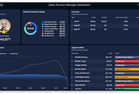 Sales Account Manager Dashboard