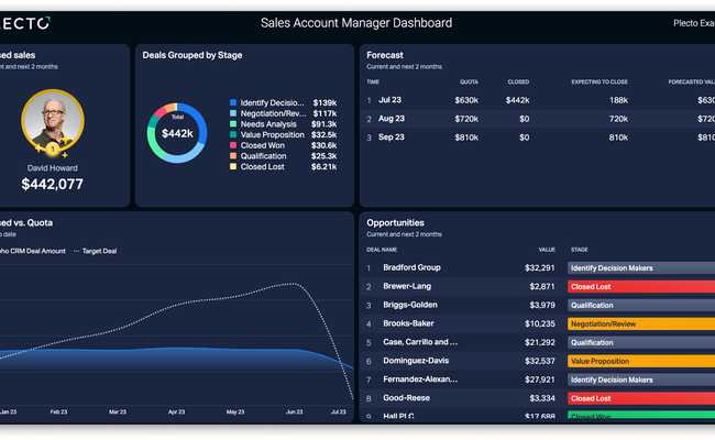 Sales Account Manager Dashboard