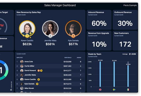 Sales Manager Dashboard