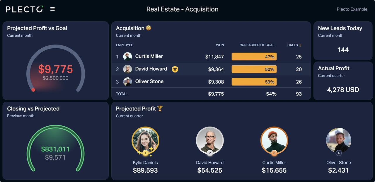 Real Estate Acquisition Dashboard Example.png