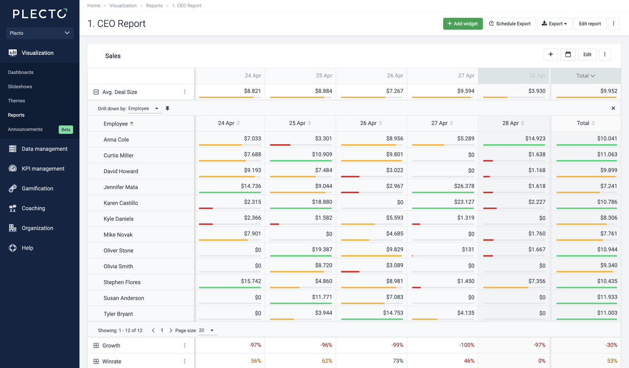 Report Example - CEO Report