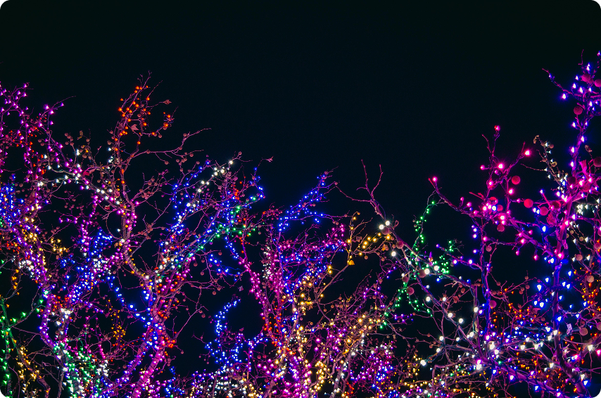 christmas lights.png