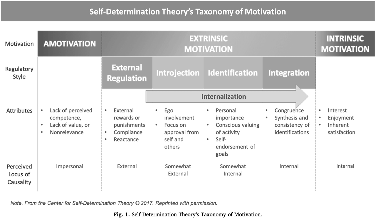 self-determination theory