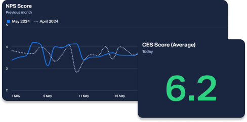 Customer Effort Score (CES)