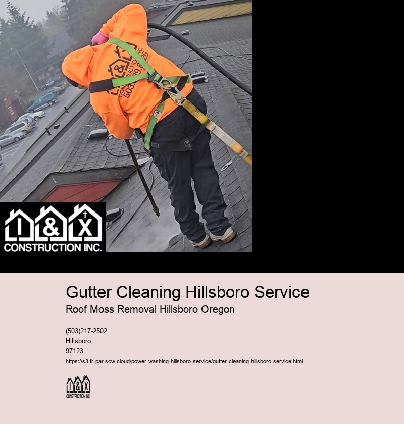 Gutter Cleaning Hillsboro Service