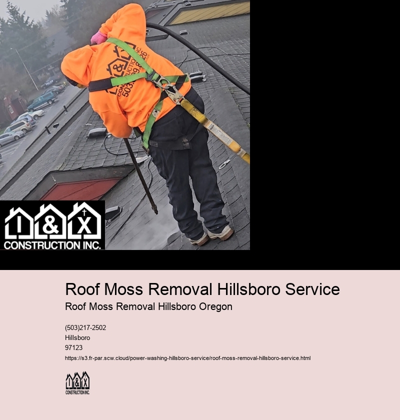 Roof Moss Removal Hillsboro Service