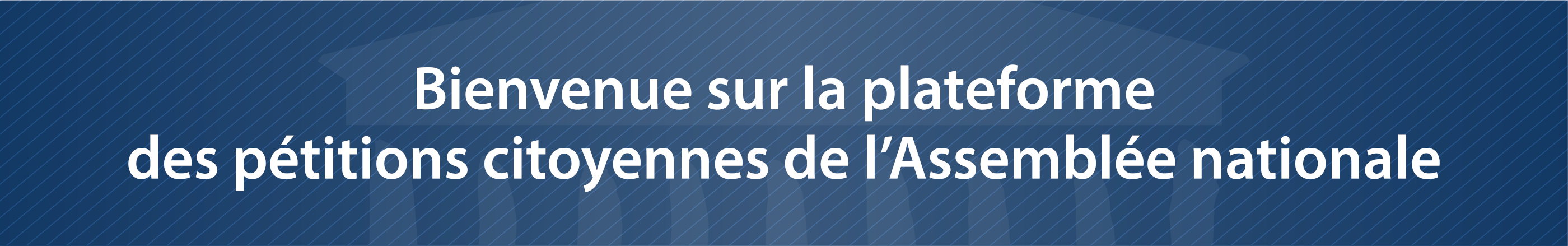 Bannière d'accueil sur la plateforme de e-pétitions de l'Assemblée nationale