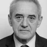 Damir Bakić