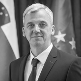 Danijel Levičar