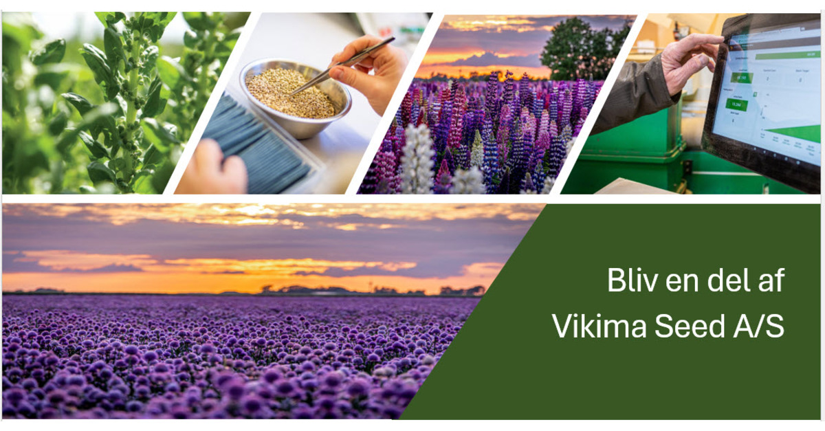 Vikima Seed logo