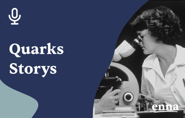 Quarks Storys