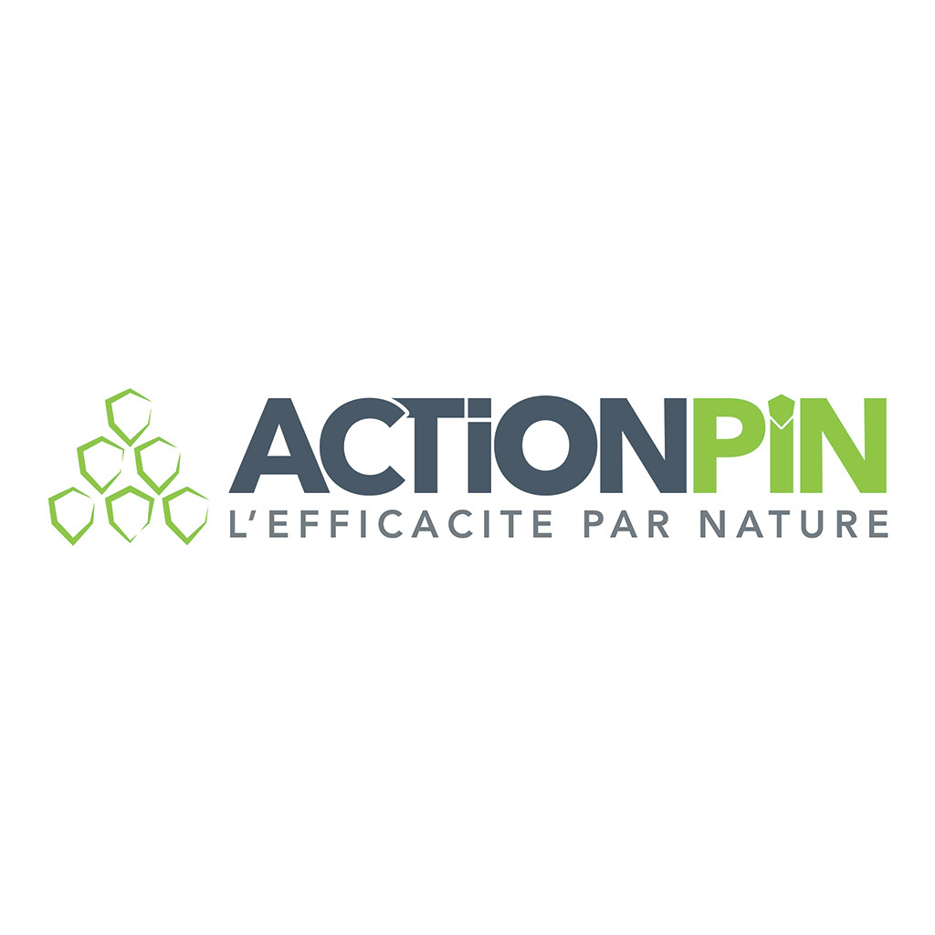 ACTION PIN
