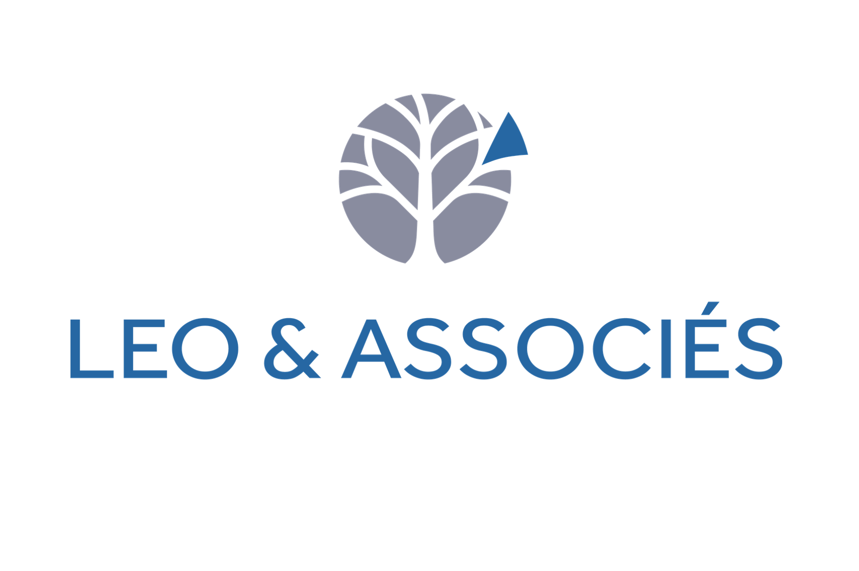 LEO ET ASSOCIES