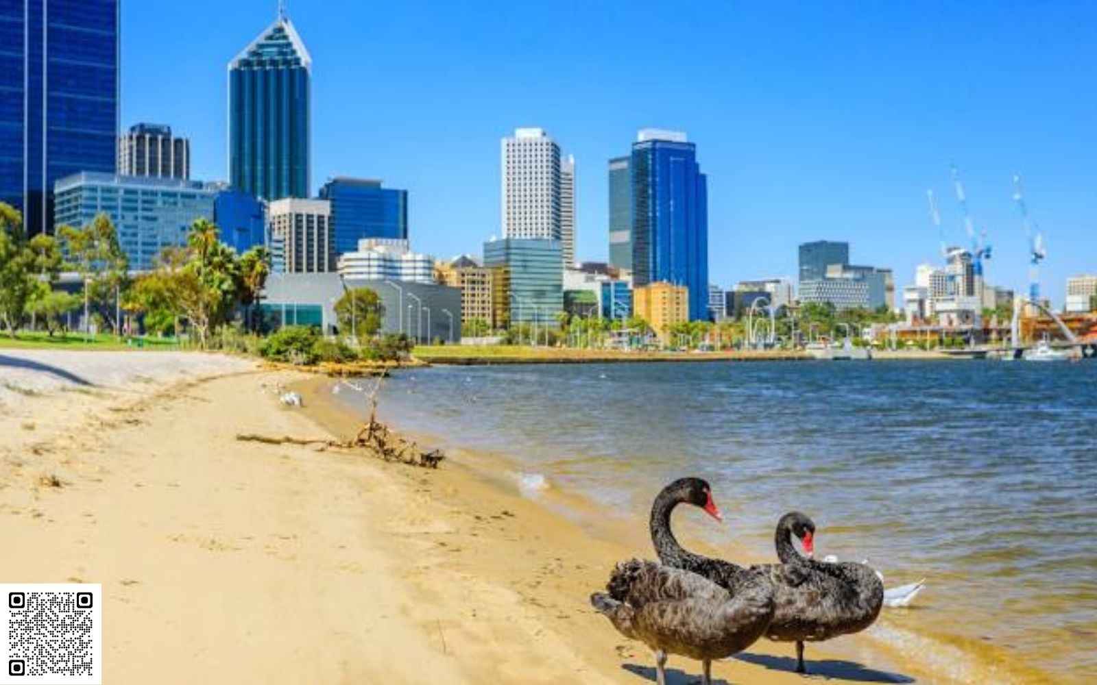 Why Geo-Tagged Images Matter for Local Rankings  