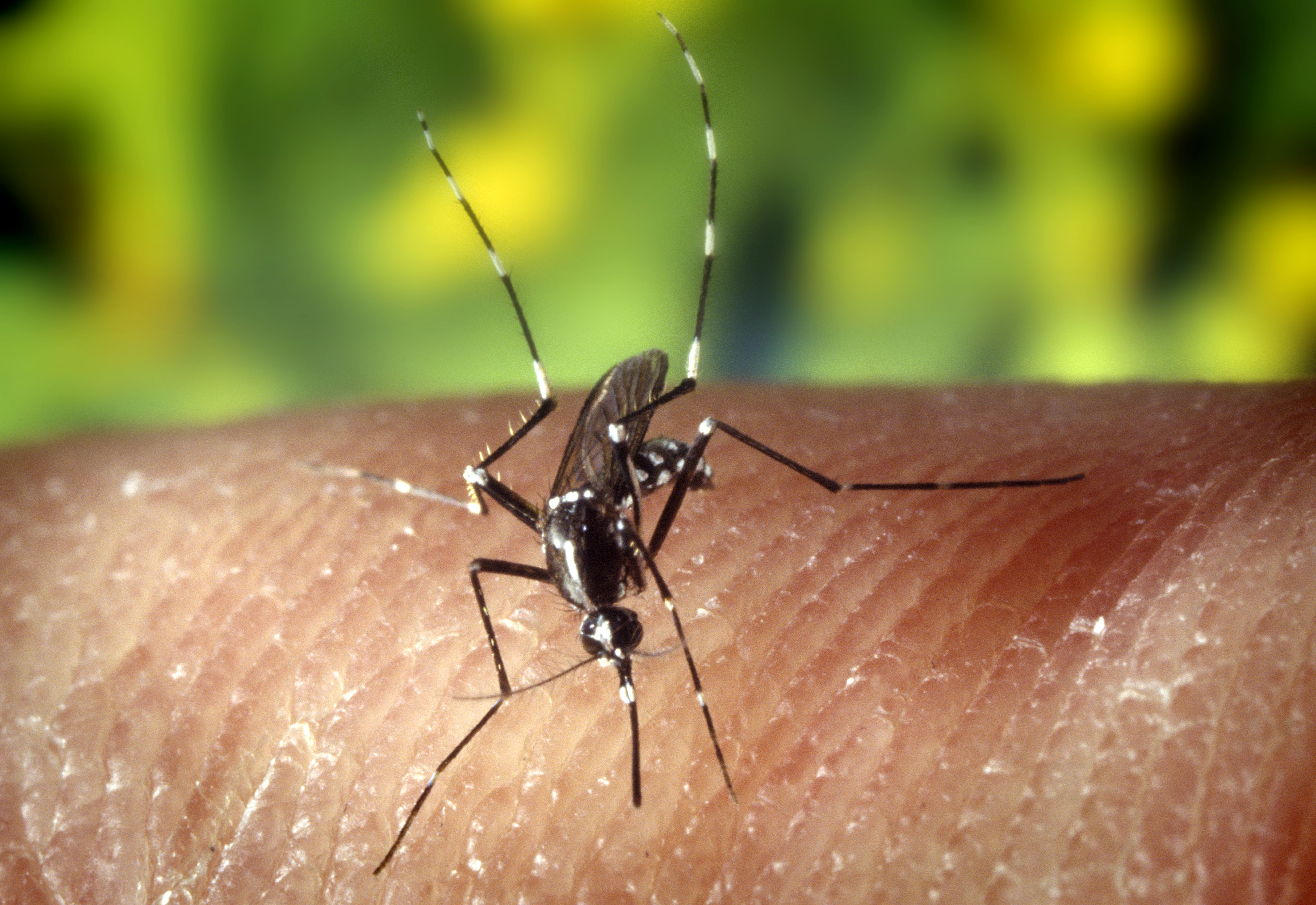 A unique dataset on asymptomatic malaria in Benin A unique dataset on asymptomatic malaria in Benin