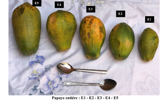 Catalogues photos des tailles de portions alimentaires consommées...