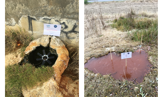 Radioactivity of natural mineral sources in the Puy de Dôme (2019-2021 / ZATU's TIRAMISU project)