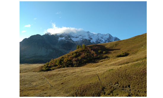 Soil temperature data for the French Alps