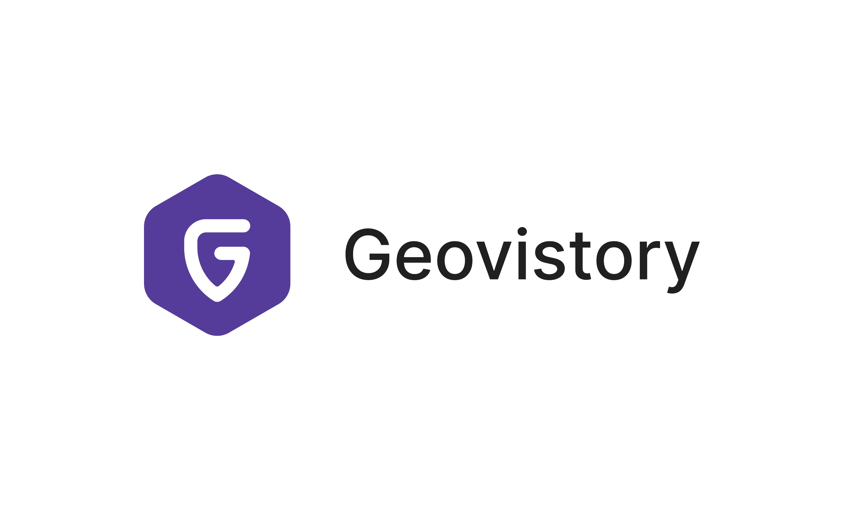 Geovistory