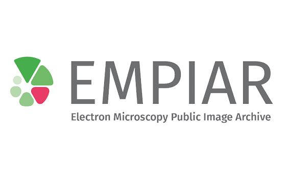 Electron Microscopy Public Image Archive (EMPIAR)