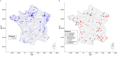 Répartition en France entre 2017 et 2019 des tiques piqueuses d’humains et des micro-organismes qu’elles transportent