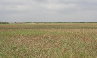 Land use land cover high resolution map (10 m) for the area of Tori-Bossito, Benin, 2010-2011
