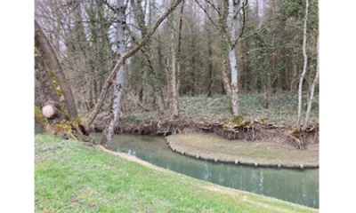 Jeu de données sur les préférences environnementales et sociales de la population locale de Vittel (France) lors d’activités récréatives