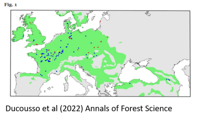 Données d’une étude à long terme et à grande échelle de populations de chênes sessiles en provenance de toute l’Europe installés en France