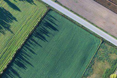 PIS crop sequences between 2007 and 2020