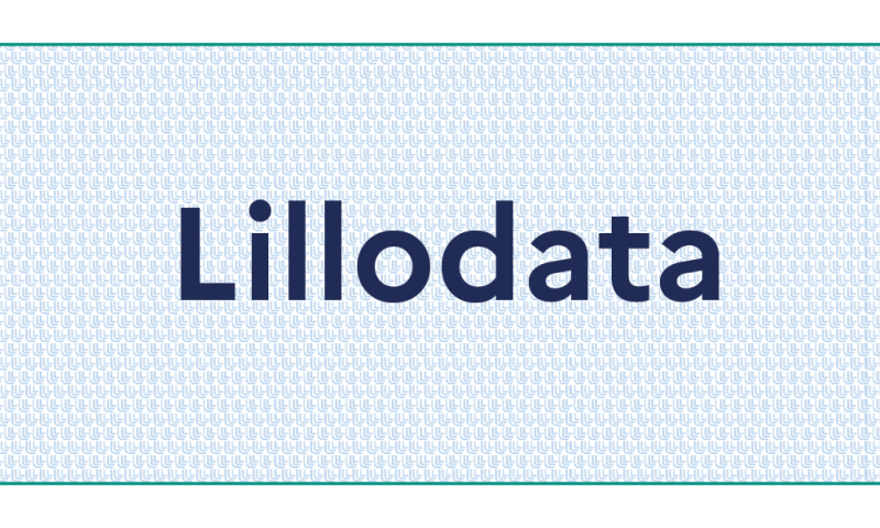 Focus on Lillodata (Université de Lille)