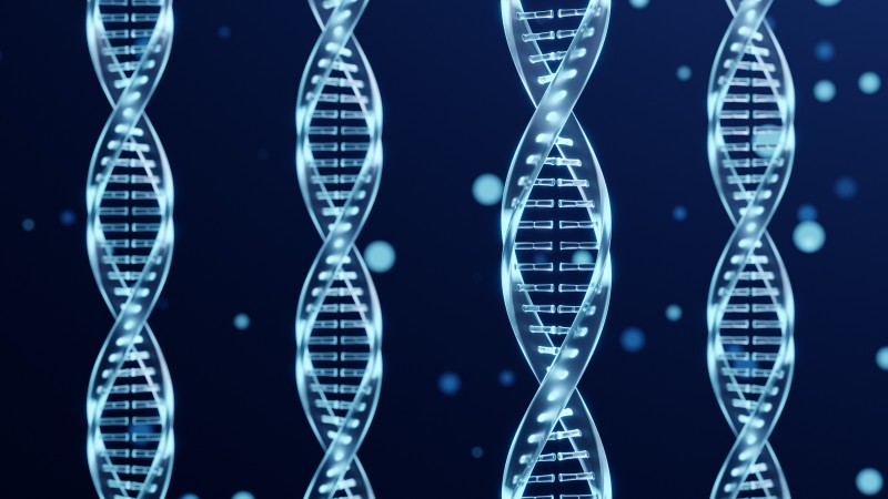 Responses from data protection authorities regarding national legislation governing genetic data