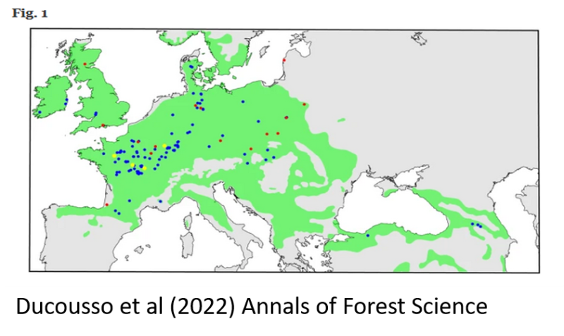 Long-term and large scale Quercus petraea population survey conducted in provenance tests installed in France