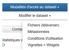 Modifier le dataset : fichiers, métadonnées, conditions d'utilisation, vignettes + widgets