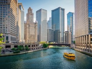 Do you want problem-solving real estate law for Illinois clients?