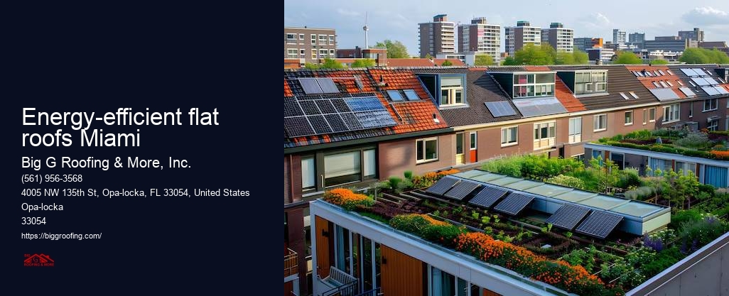 Energy-efficient flat roofs Miami
