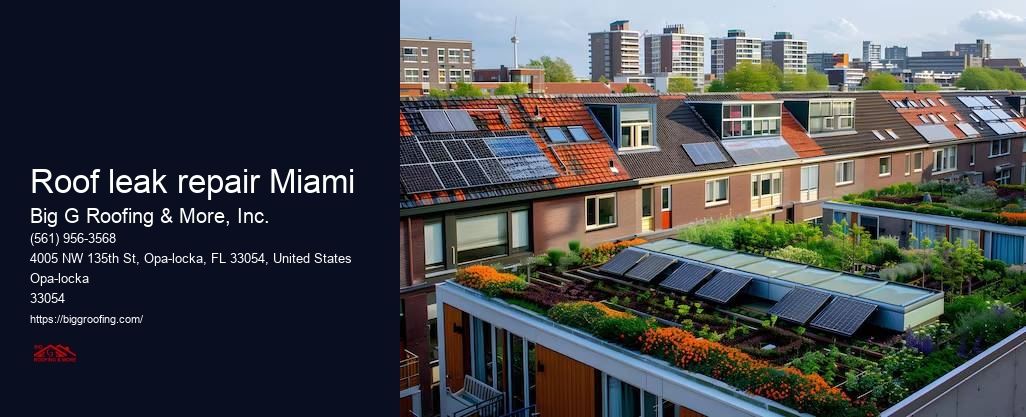 Roof leak repair Miami