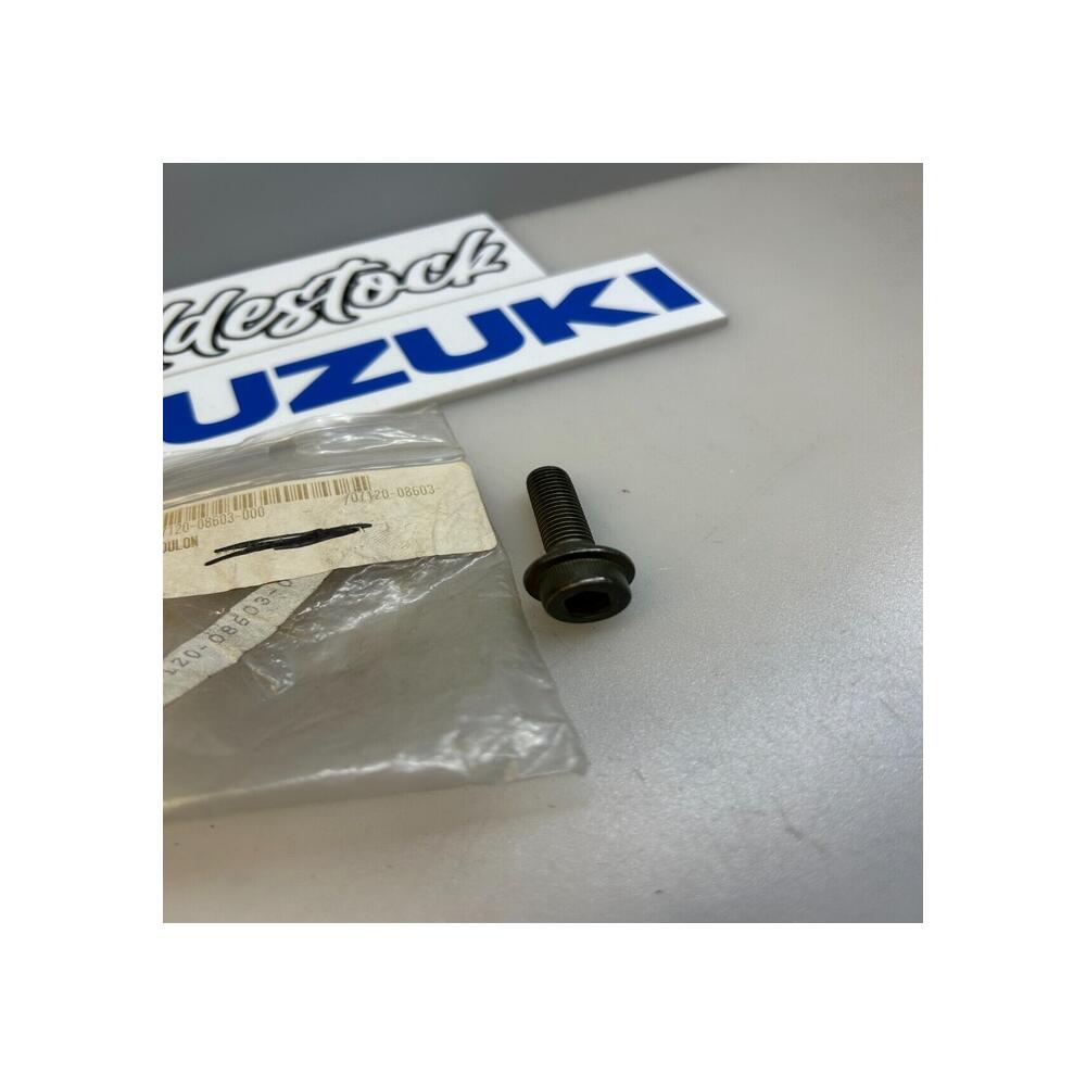 1 boulon suzuki 07120-08303 07120-0830A 07120-08305 rg tl xf gsx-r gsf gsx-f dr
