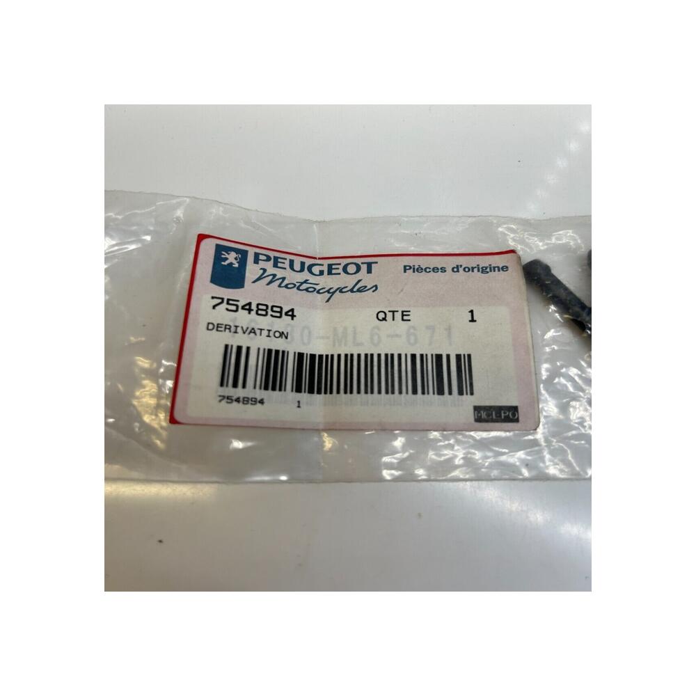 1 raccord by pass Peugeot 754894 honda 16180-ml6-671 16180-MAK-F00