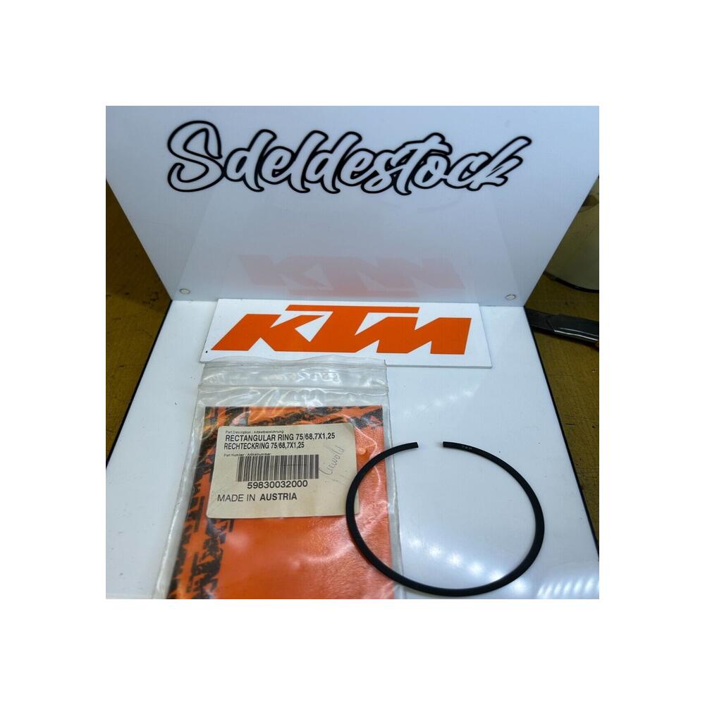 1 x segment rectangle 75/68,7X1,25 ktm 59830032000 250 exc racing 2002 2006