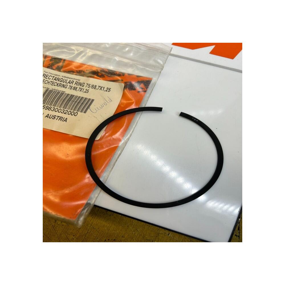 1 x segment rectangle 75/68,7X1,25 ktm 59830032000 250 exc racing 2002 2006