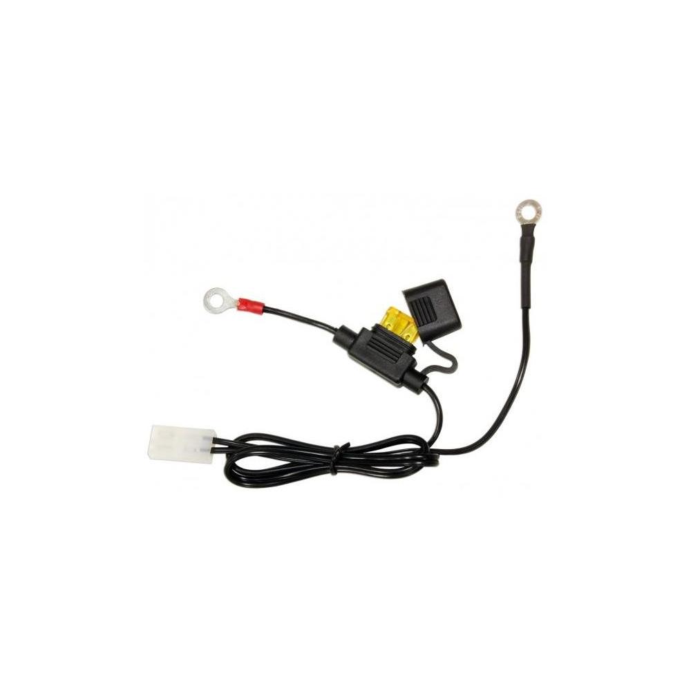 Cable chargeur batterie pour ACCUGARD-900 avec fusible
