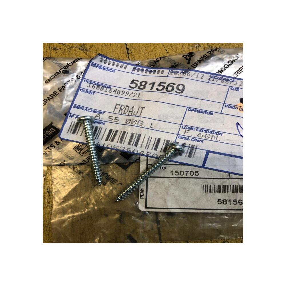 2 x vis cabochon clignotant piaggio 581569 zip 50 125 100
